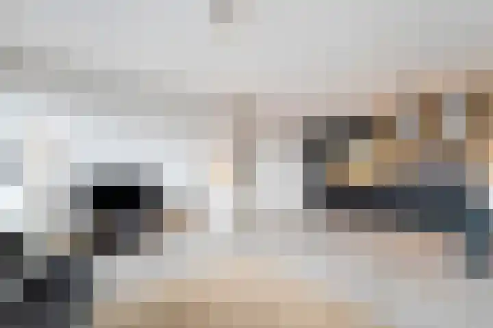 Brandersweg 2 6 Almelo thumbnail 13