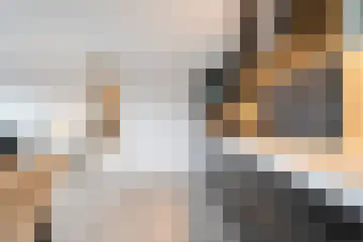 Brandersweg 2 6 Almelo thumbnail 15