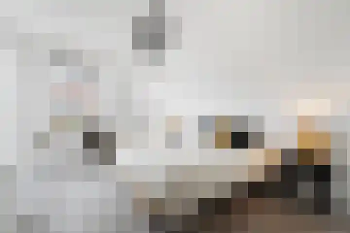 Brandersweg 2 6 Almelo thumbnail 18