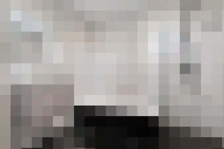 Brandersweg 2 6 Almelo thumbnail 21