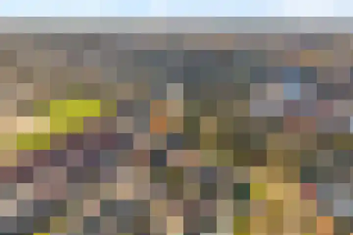 Brandersweg 2 6 Almelo thumbnail 5