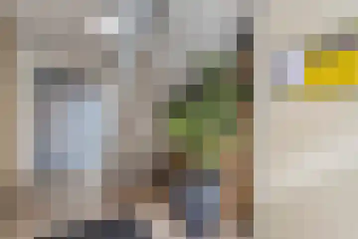 Brandersweg 2 6 Almelo thumbnail 9