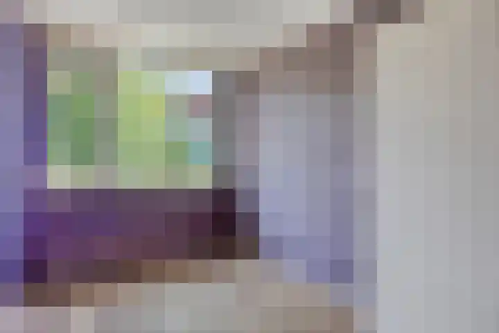 Brandespad 16 Rotterdam thumbnail 14