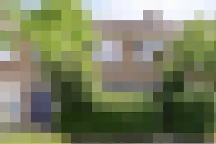 Brandespad 16 Rotterdam thumbnail 25