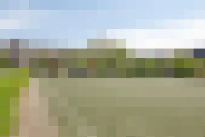 Brandespad 16 Rotterdam thumbnail 30