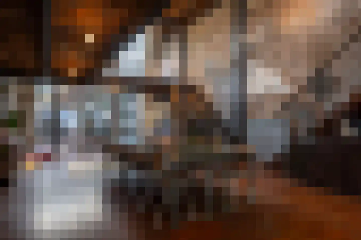Brandestraat 20 Geertruidenberg thumbnail 12