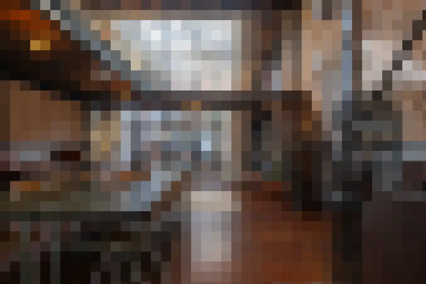 Brandestraat 20 Geertruidenberg thumbnail 13