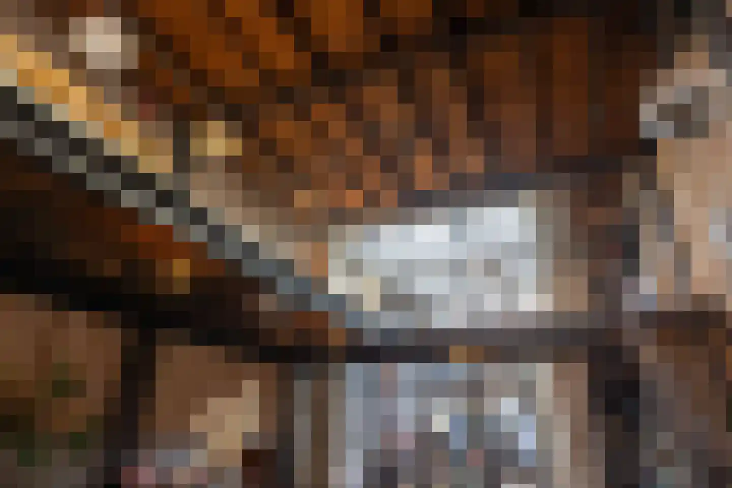Brandestraat 20 Geertruidenberg thumbnail 14