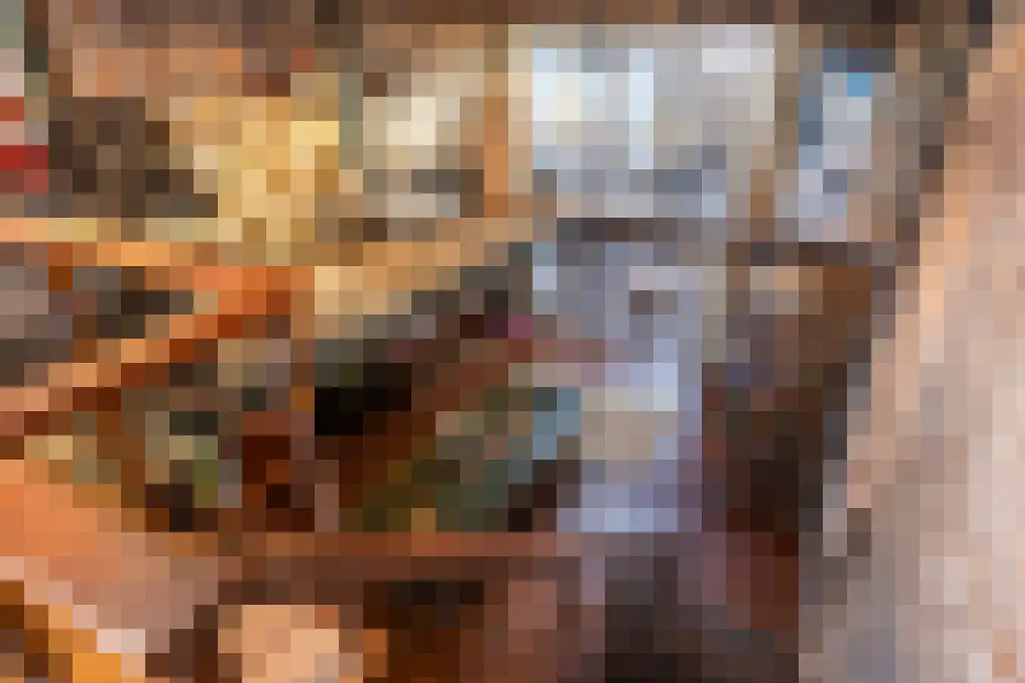 Brandestraat 20 Geertruidenberg thumbnail 15