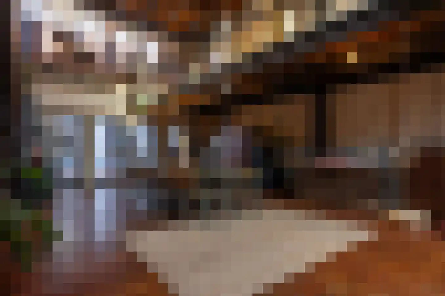 Brandestraat 20 Geertruidenberg thumbnail 17