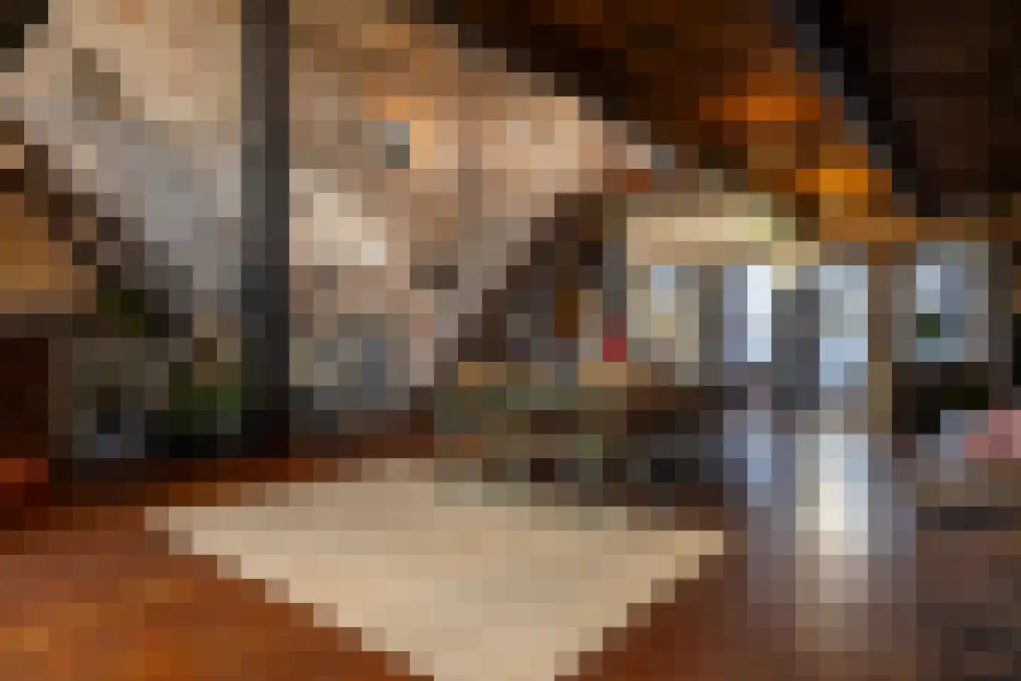 Brandestraat 20 Geertruidenberg thumbnail 18