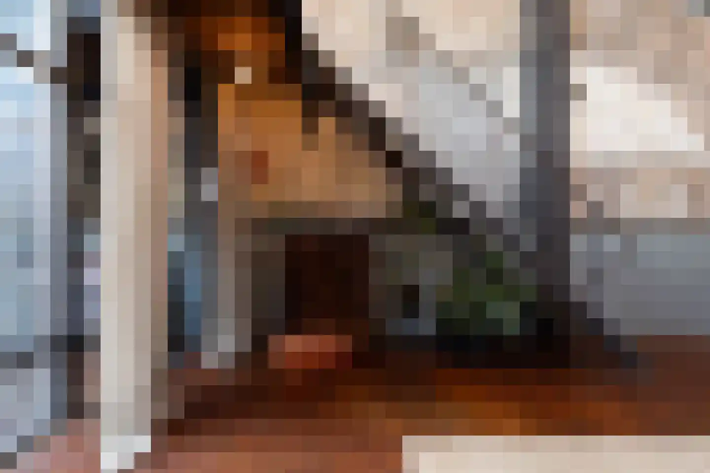 Brandestraat 20 Geertruidenberg thumbnail 21