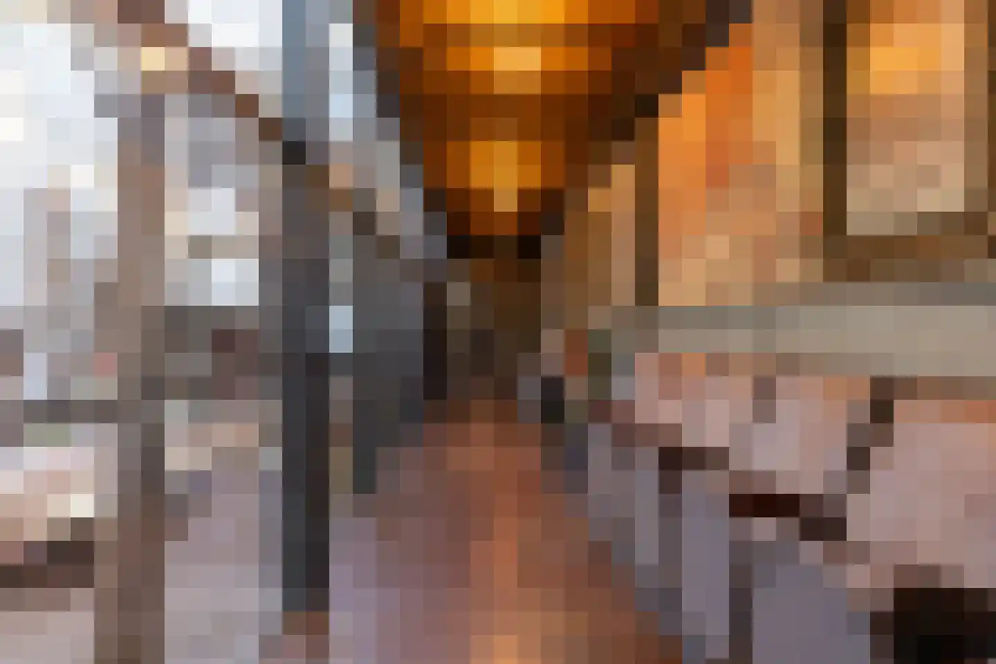 Brandestraat 20 Geertruidenberg thumbnail 27
