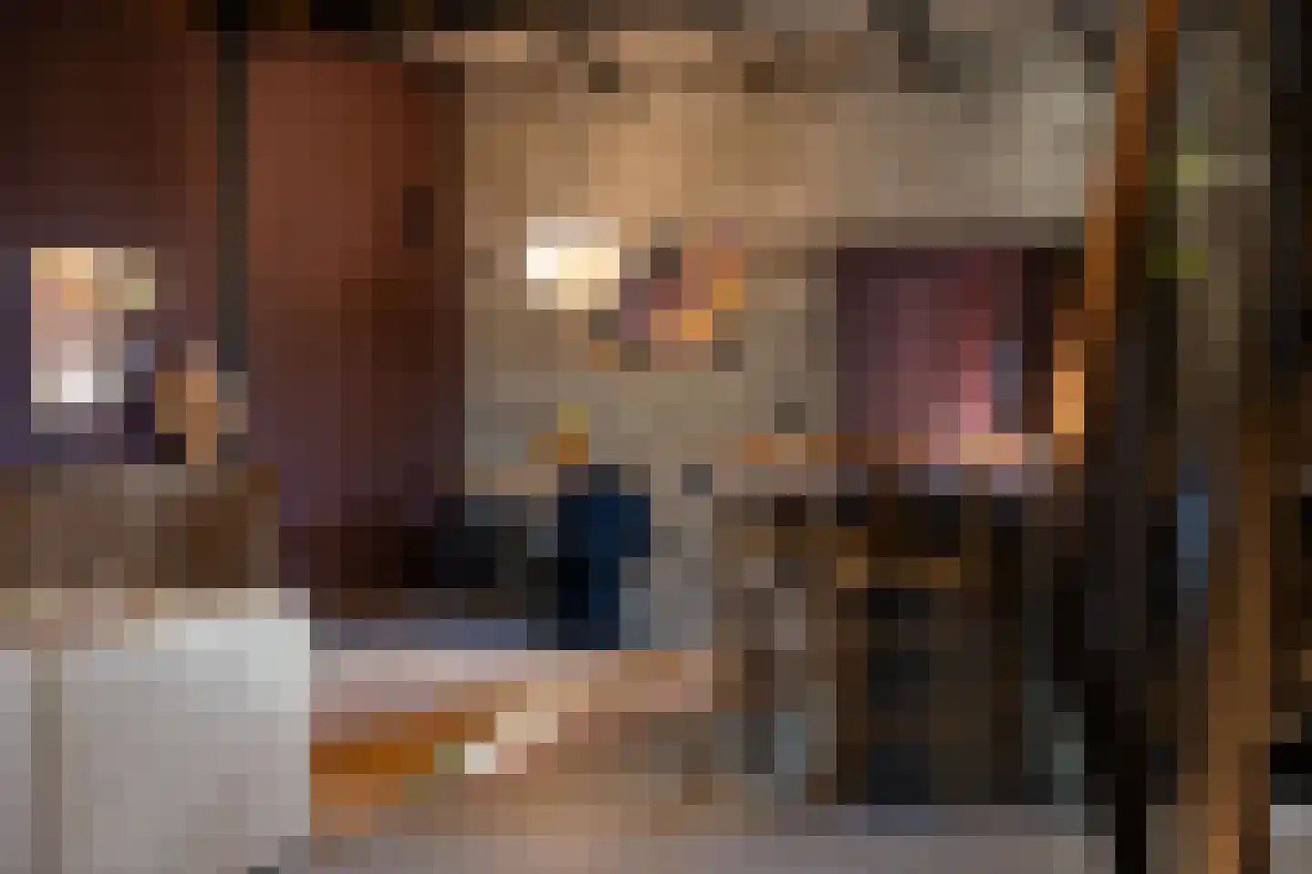 Brandestraat 20 Geertruidenberg thumbnail 37