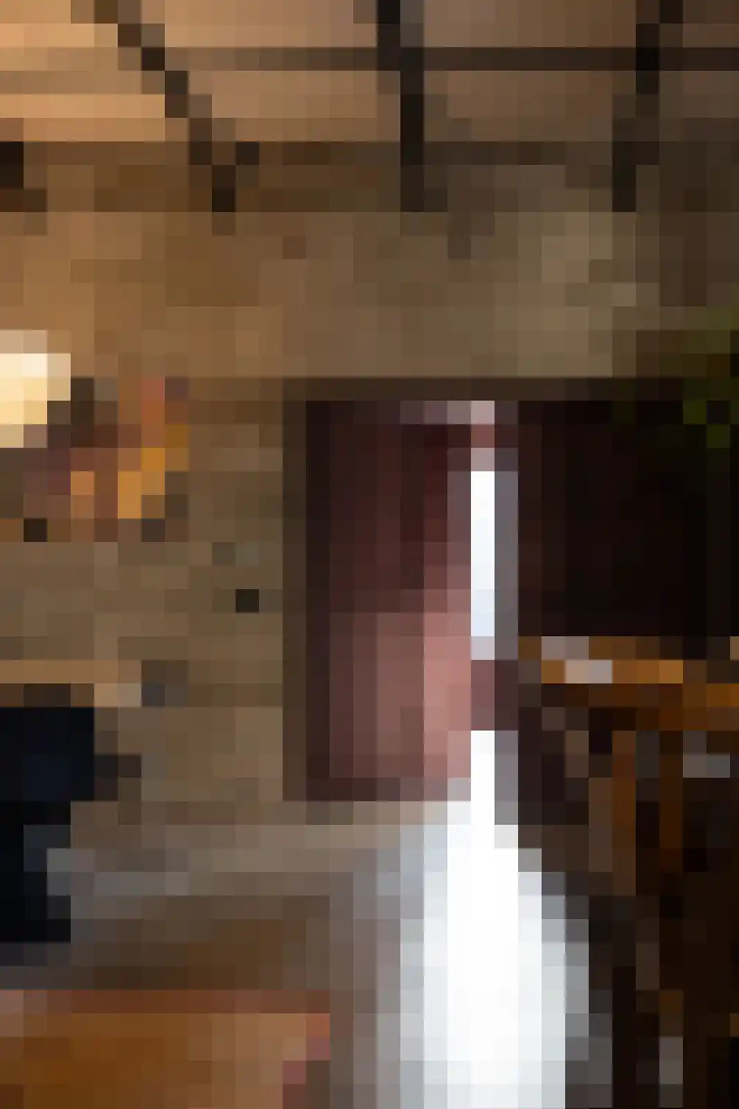 Brandestraat 20 Geertruidenberg thumbnail 38
