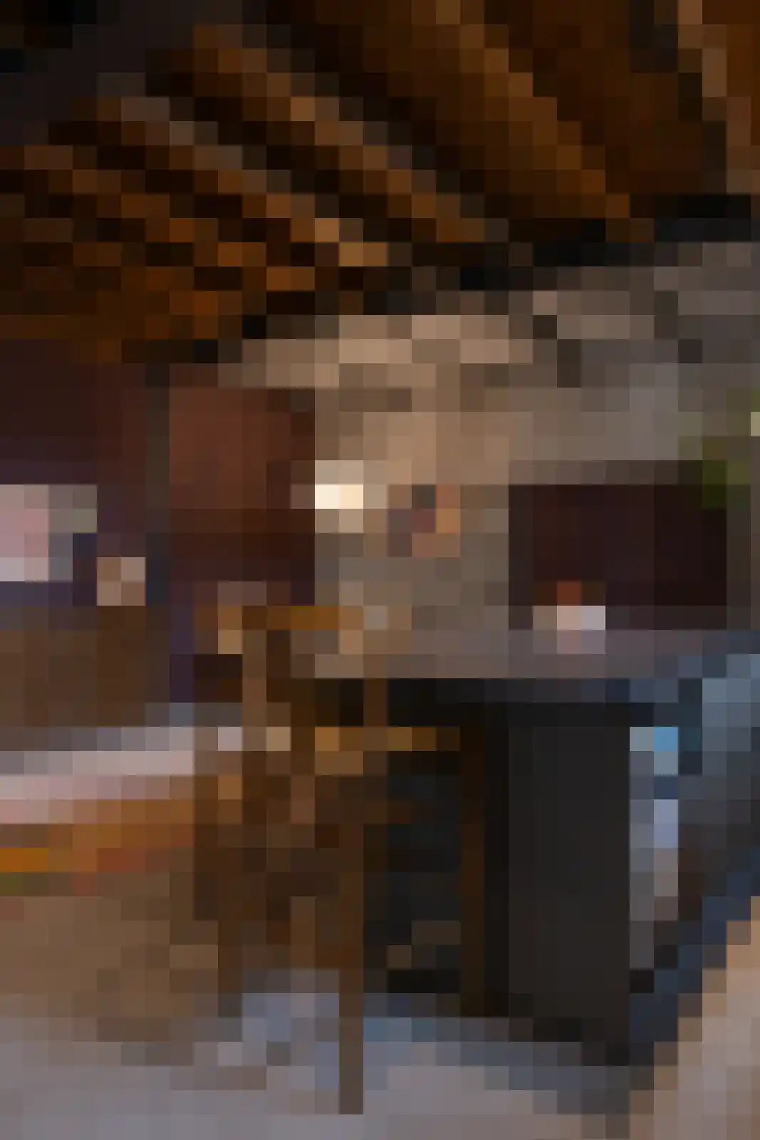 Brandestraat 20 Geertruidenberg thumbnail 39