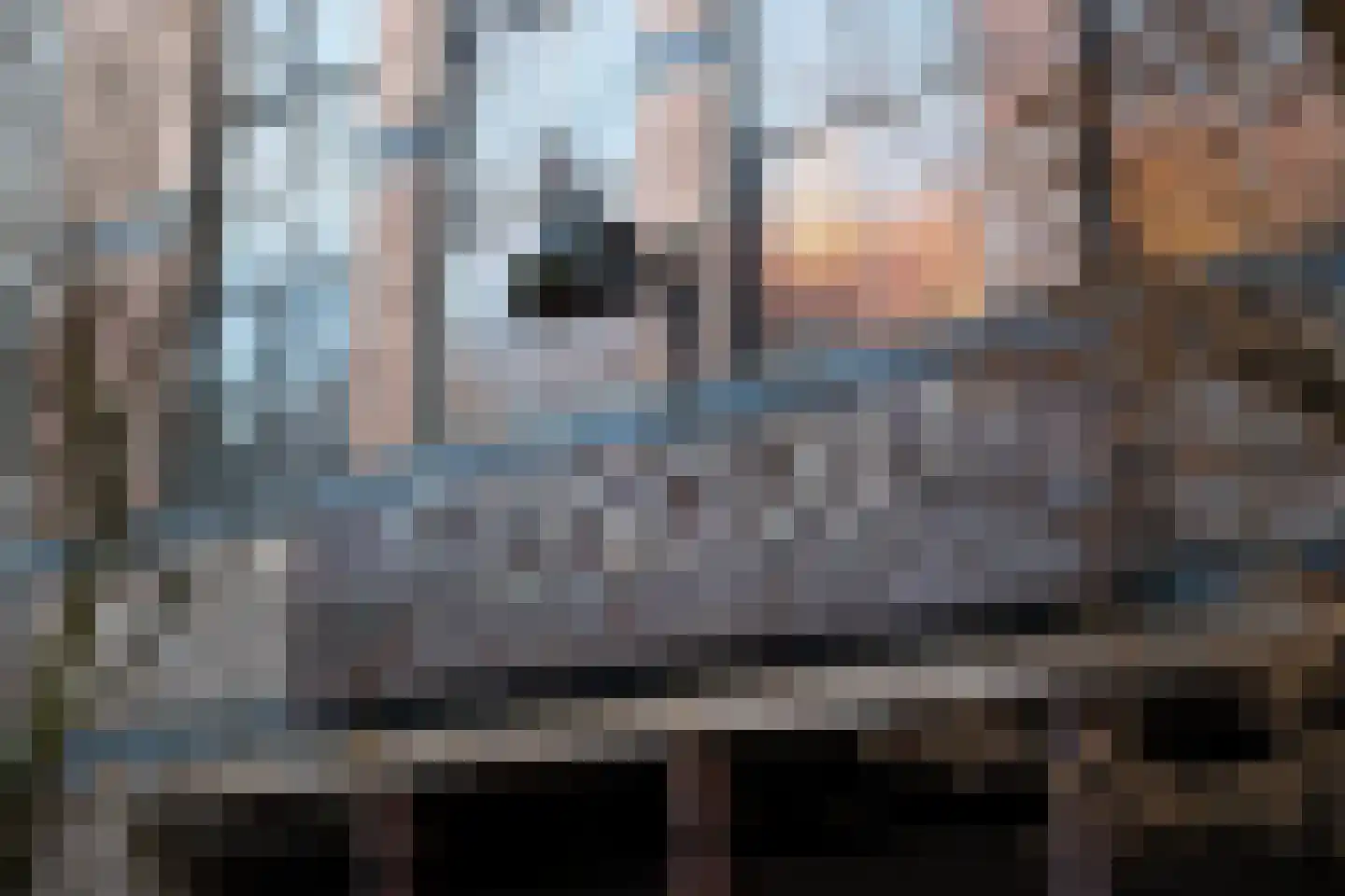 Brandestraat 20 Geertruidenberg thumbnail 4
