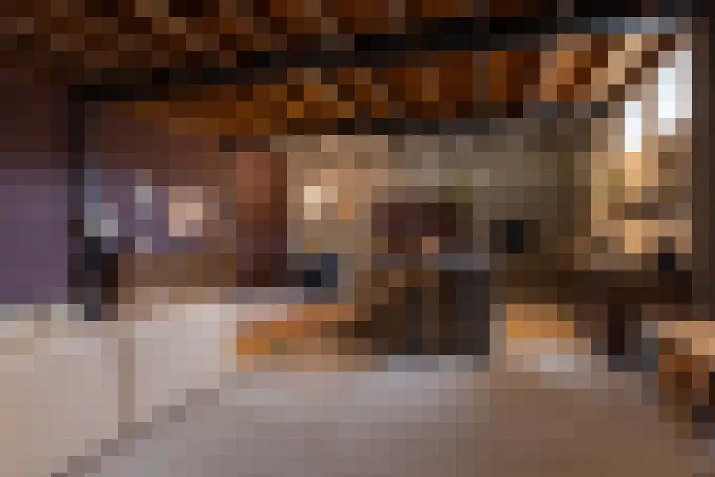 Brandestraat 20 Geertruidenberg thumbnail 40