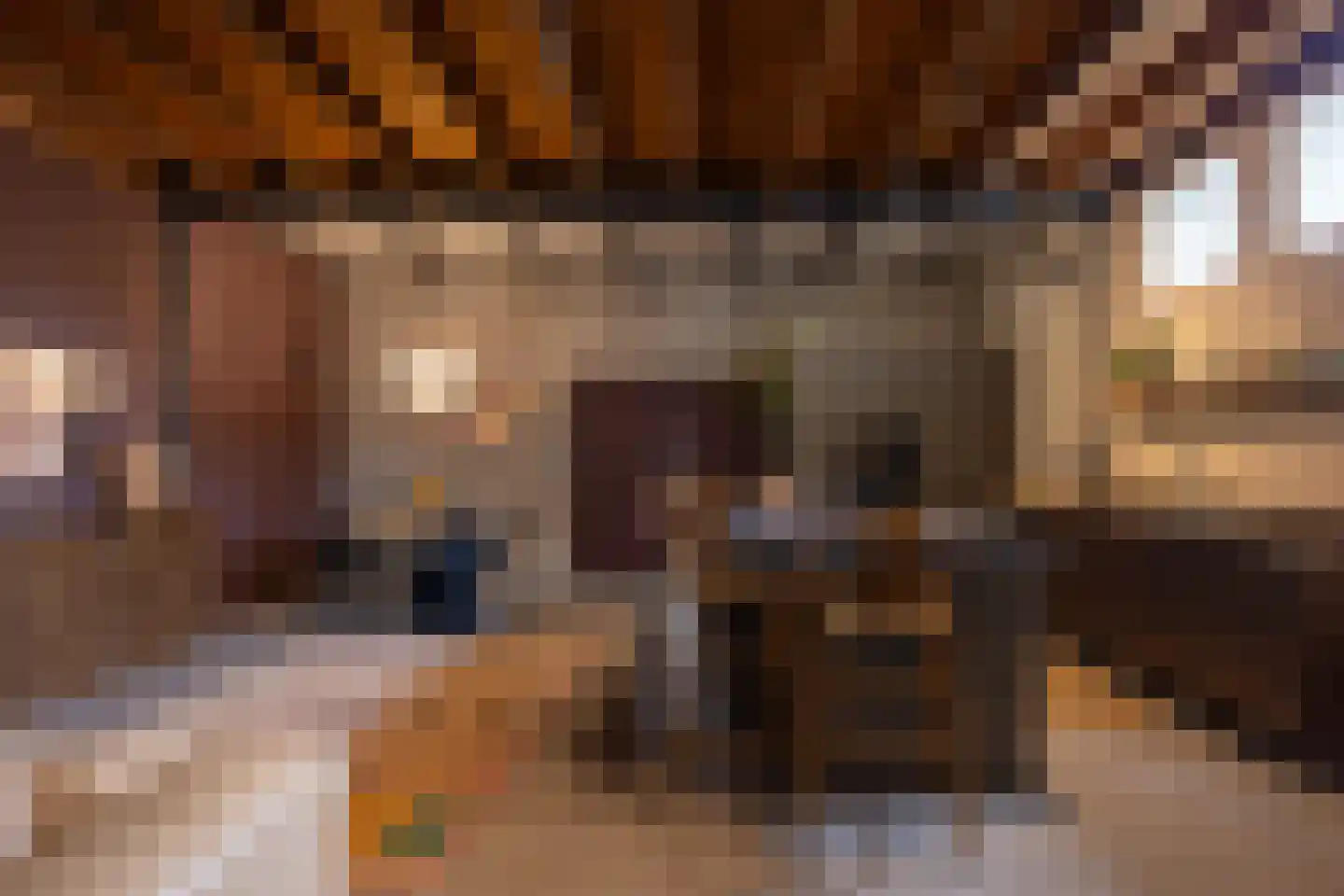 Brandestraat 20 Geertruidenberg thumbnail 41