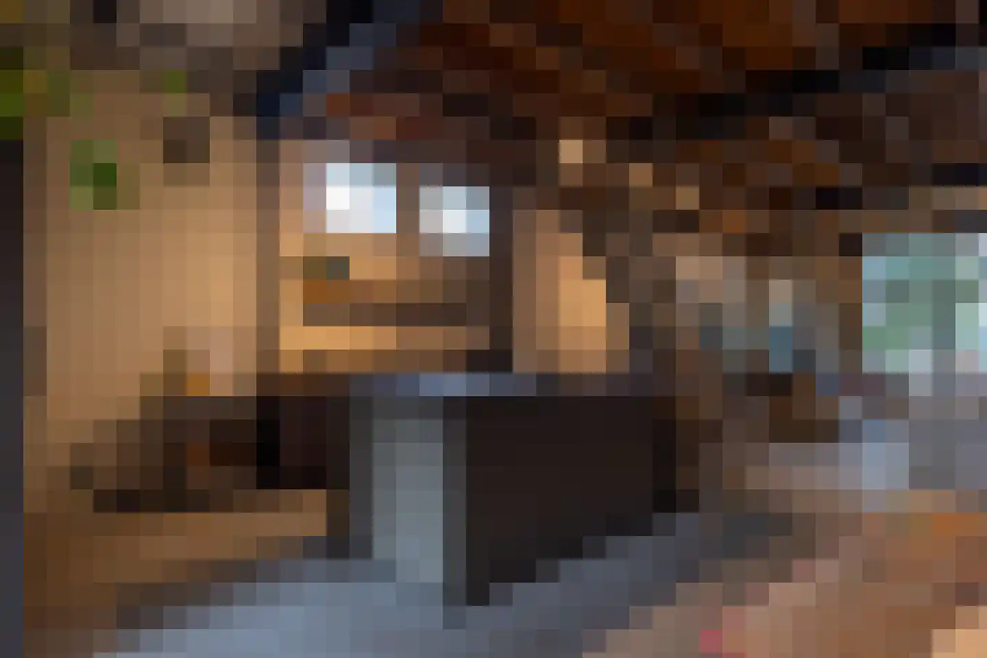 Brandestraat 20 Geertruidenberg thumbnail 42