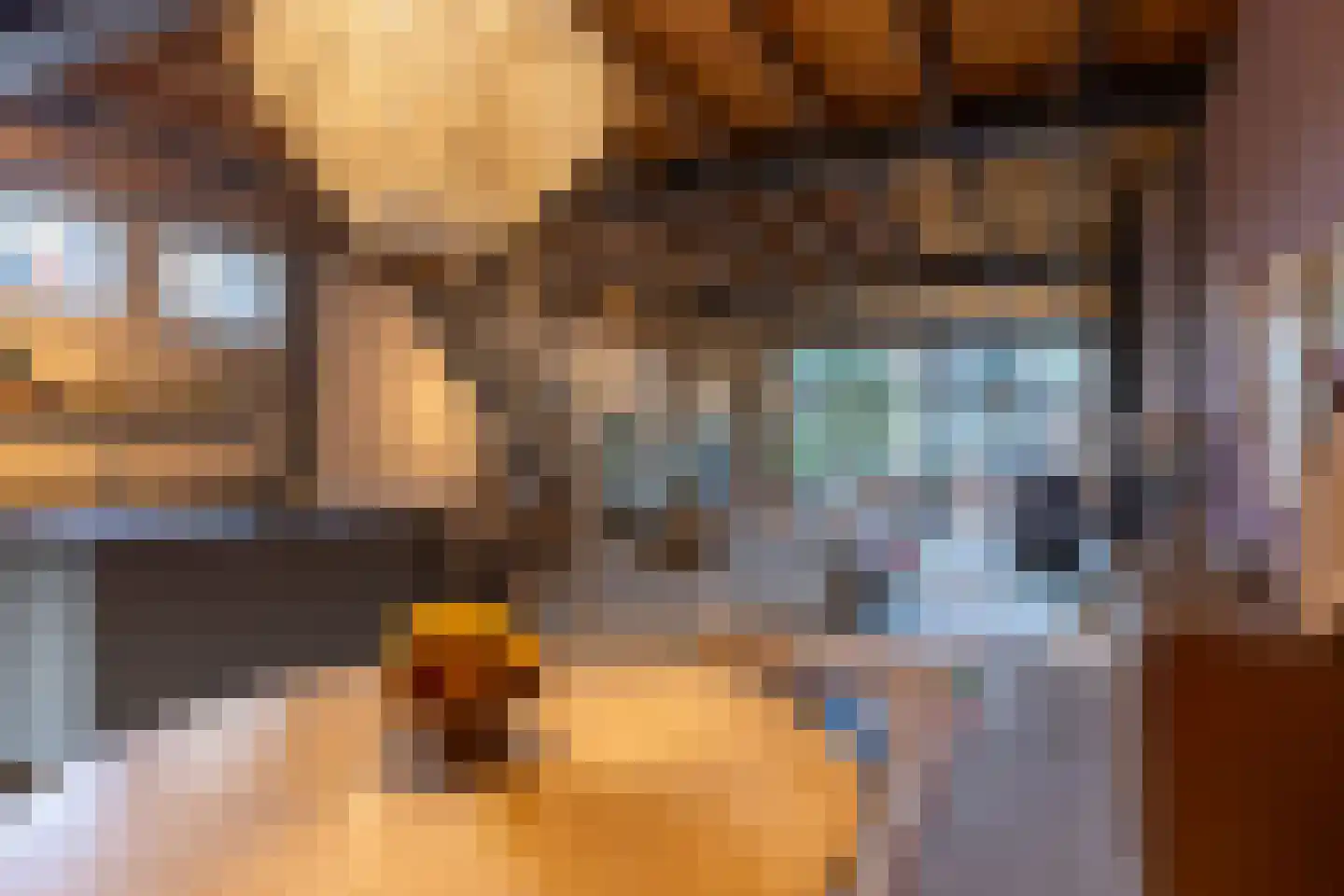 Brandestraat 20 Geertruidenberg thumbnail 44