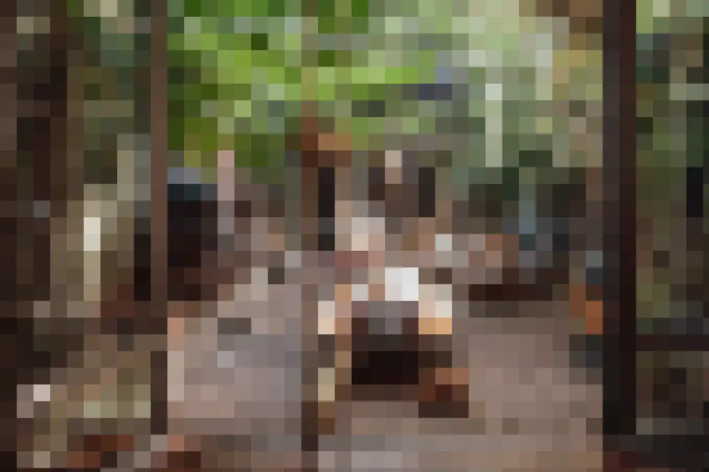Brandestraat 20 Geertruidenberg thumbnail 48