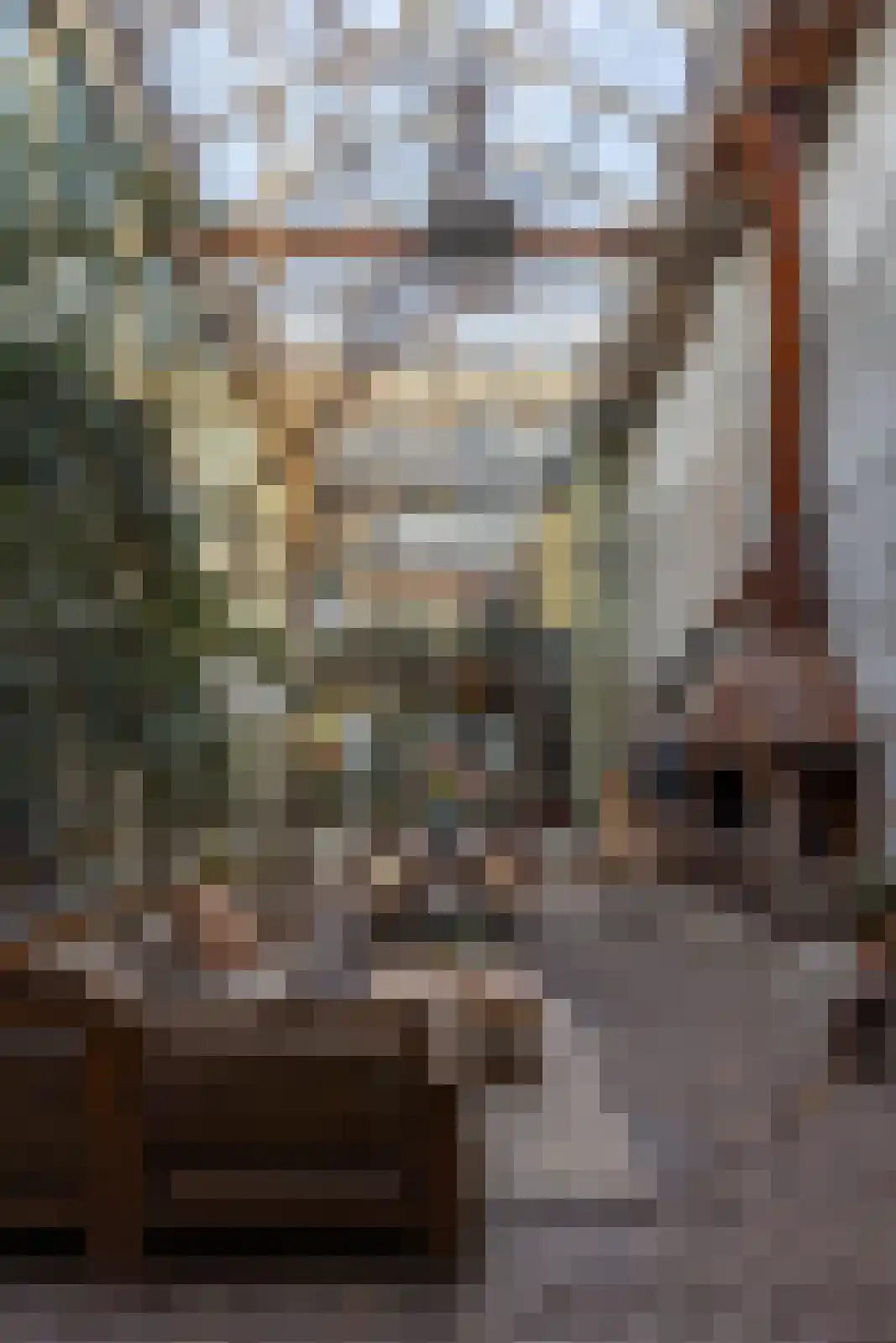 Brandestraat 20 Geertruidenberg thumbnail 50