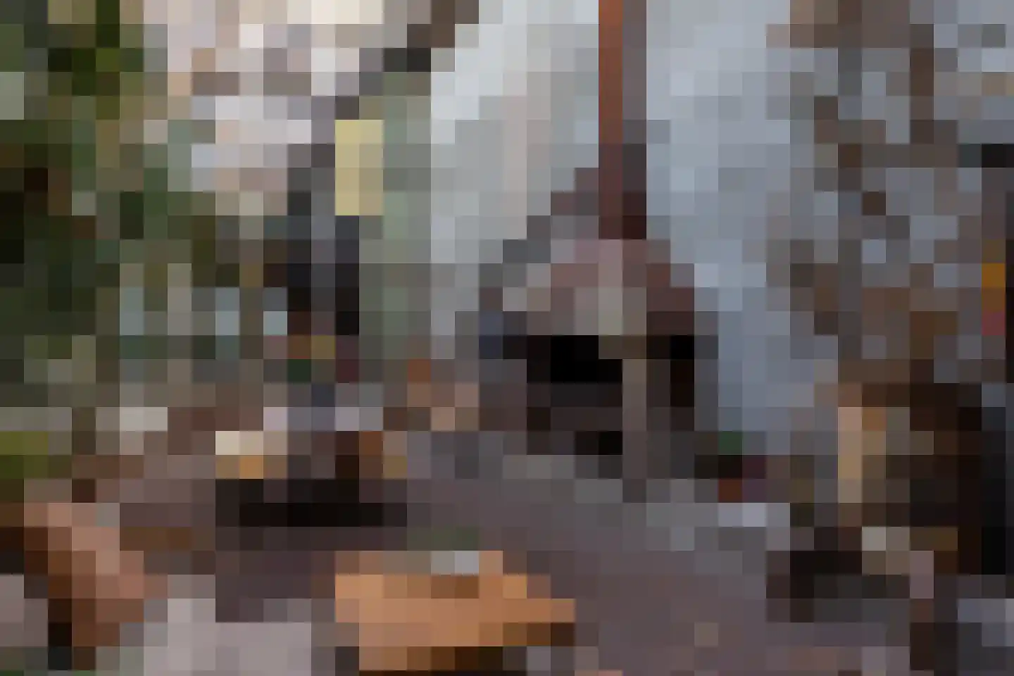 Brandestraat 20 Geertruidenberg thumbnail 51
