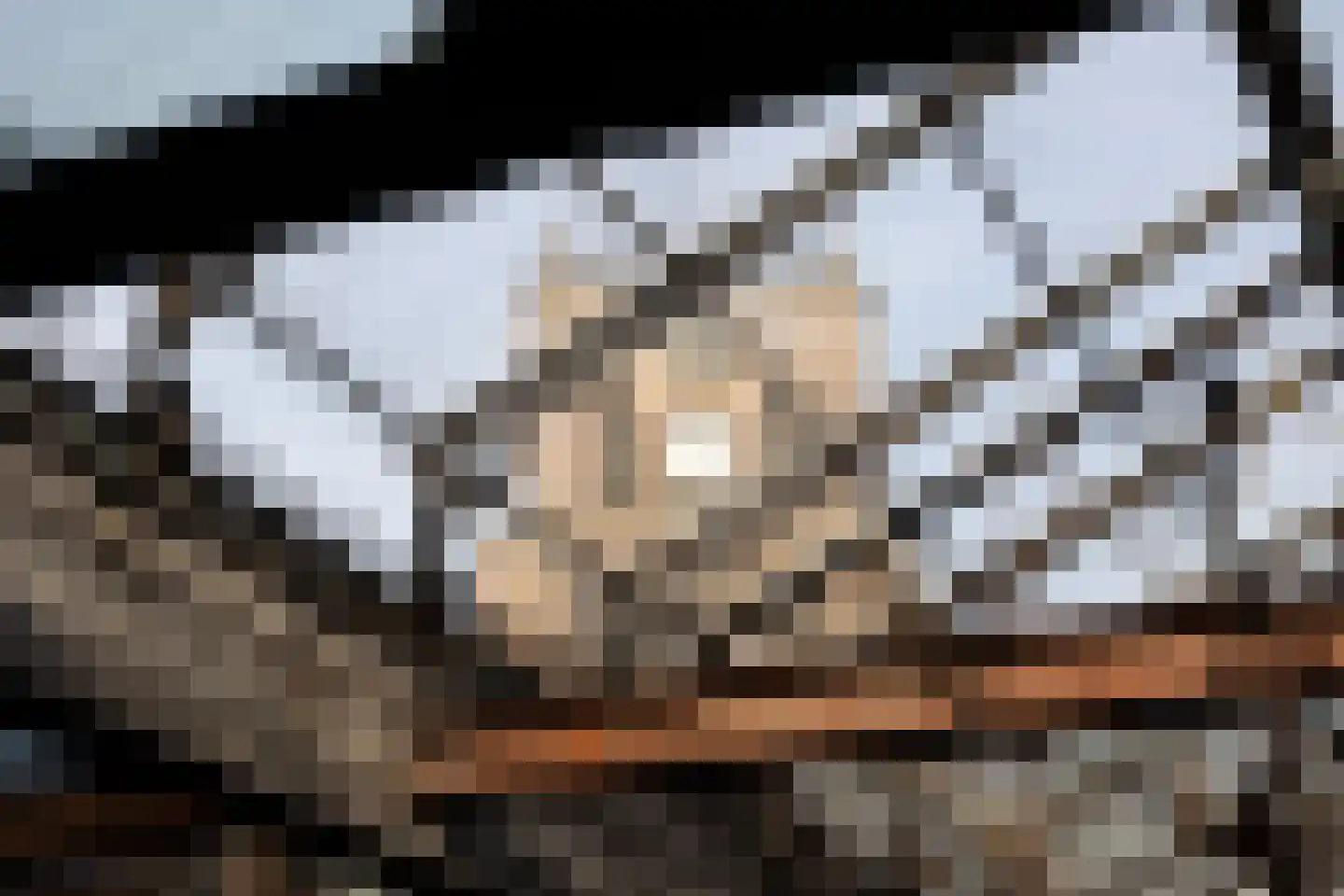 Brandestraat 20 Geertruidenberg thumbnail 52