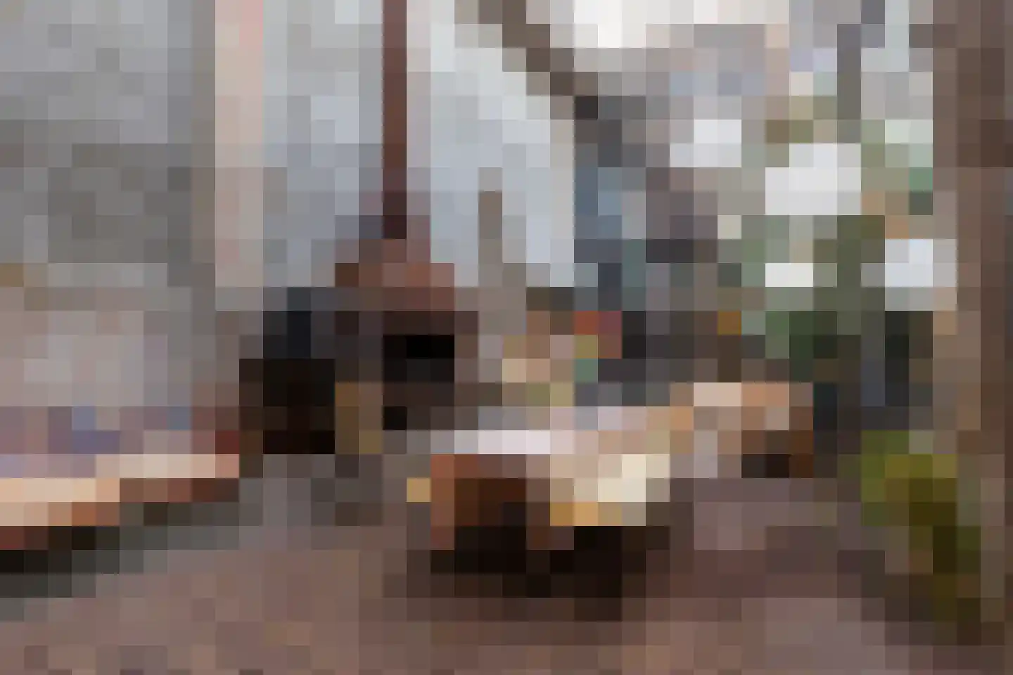 Brandestraat 20 Geertruidenberg thumbnail 53