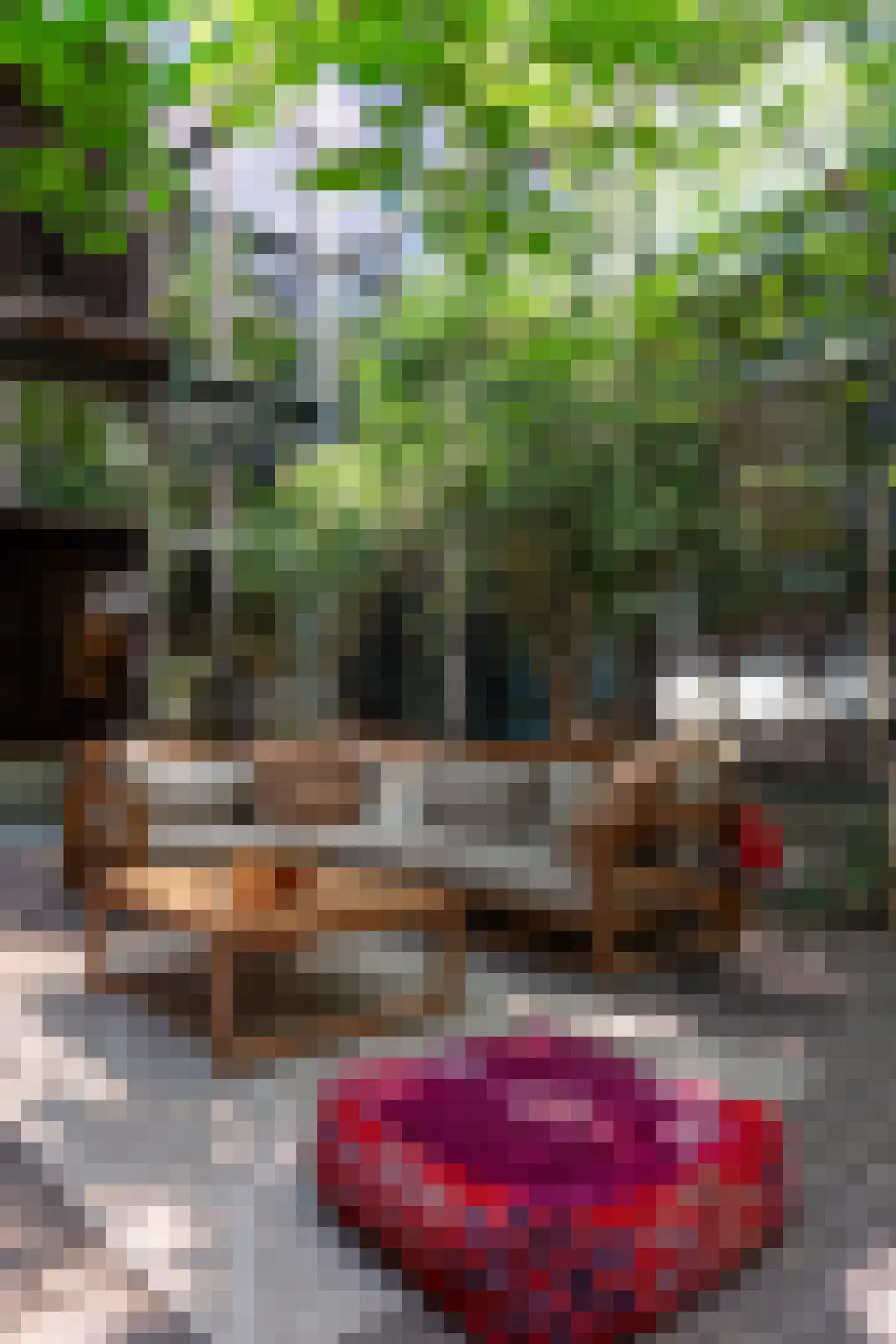 Brandestraat 20 Geertruidenberg thumbnail 55
