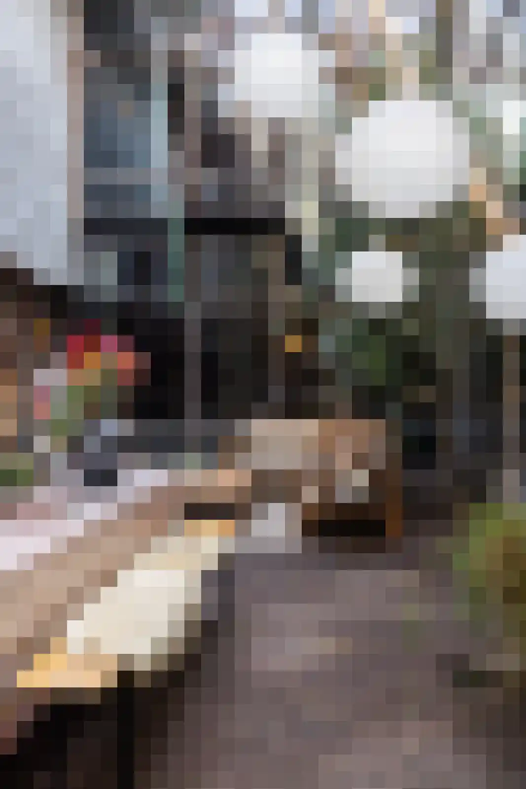 Brandestraat 20 Geertruidenberg thumbnail 56