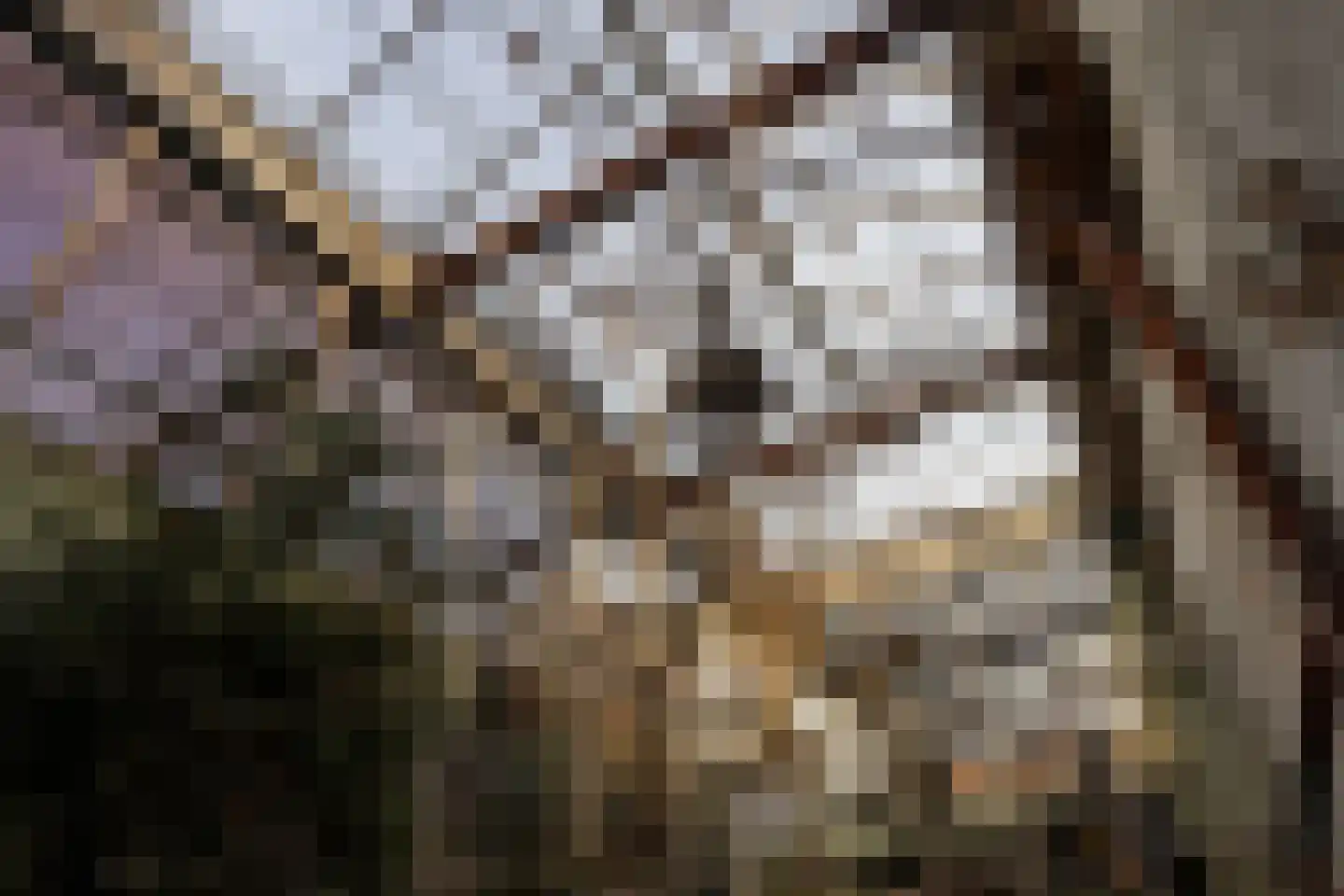 Brandestraat 20 Geertruidenberg thumbnail 57