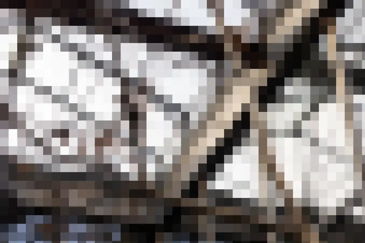 Brandestraat 20 Geertruidenberg thumbnail 58