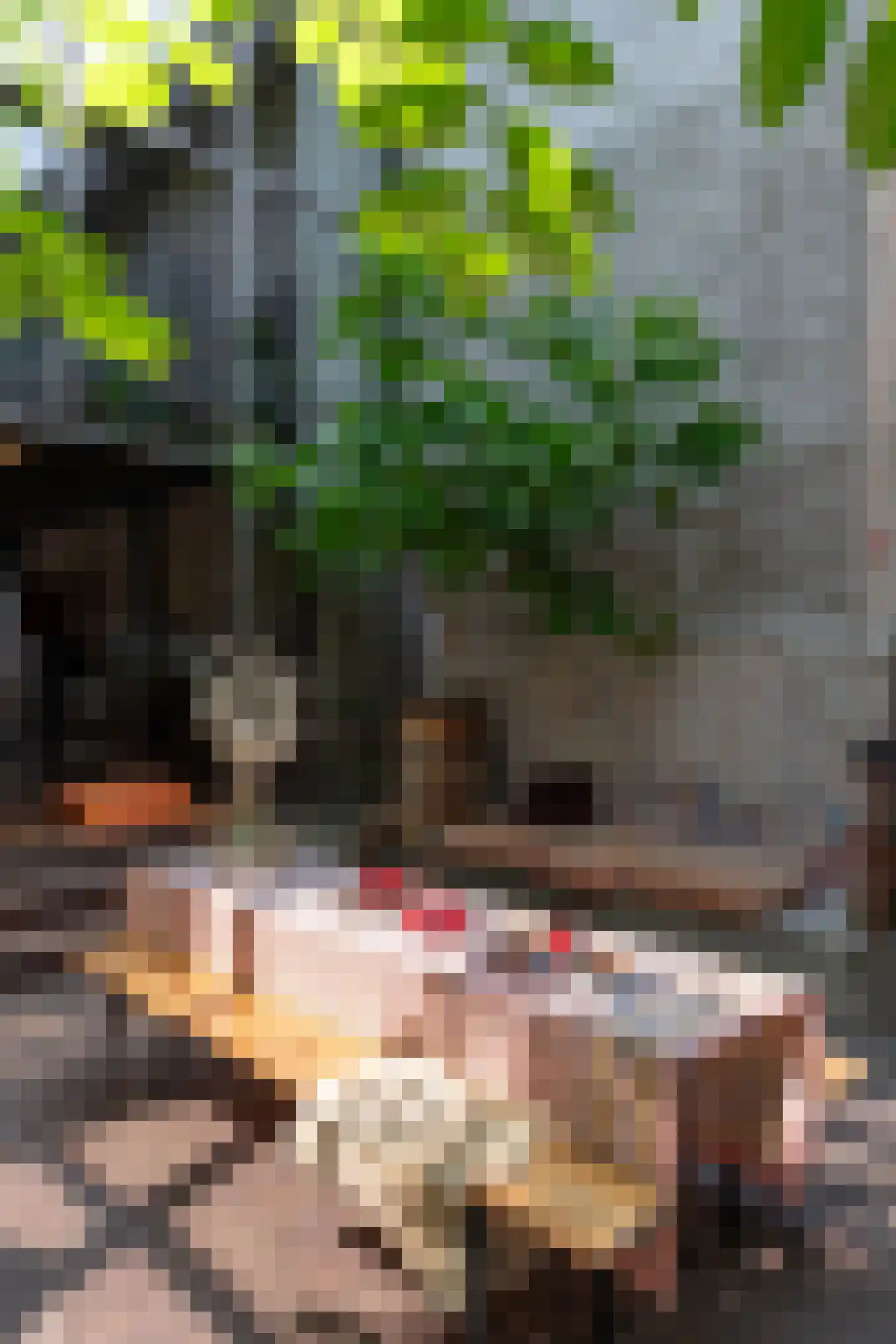 Brandestraat 20 Geertruidenberg thumbnail 59