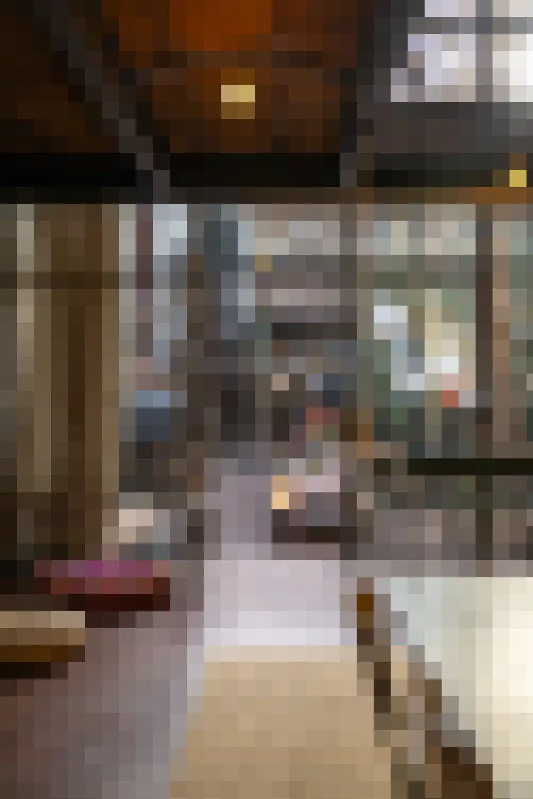 Brandestraat 20 Geertruidenberg thumbnail 61