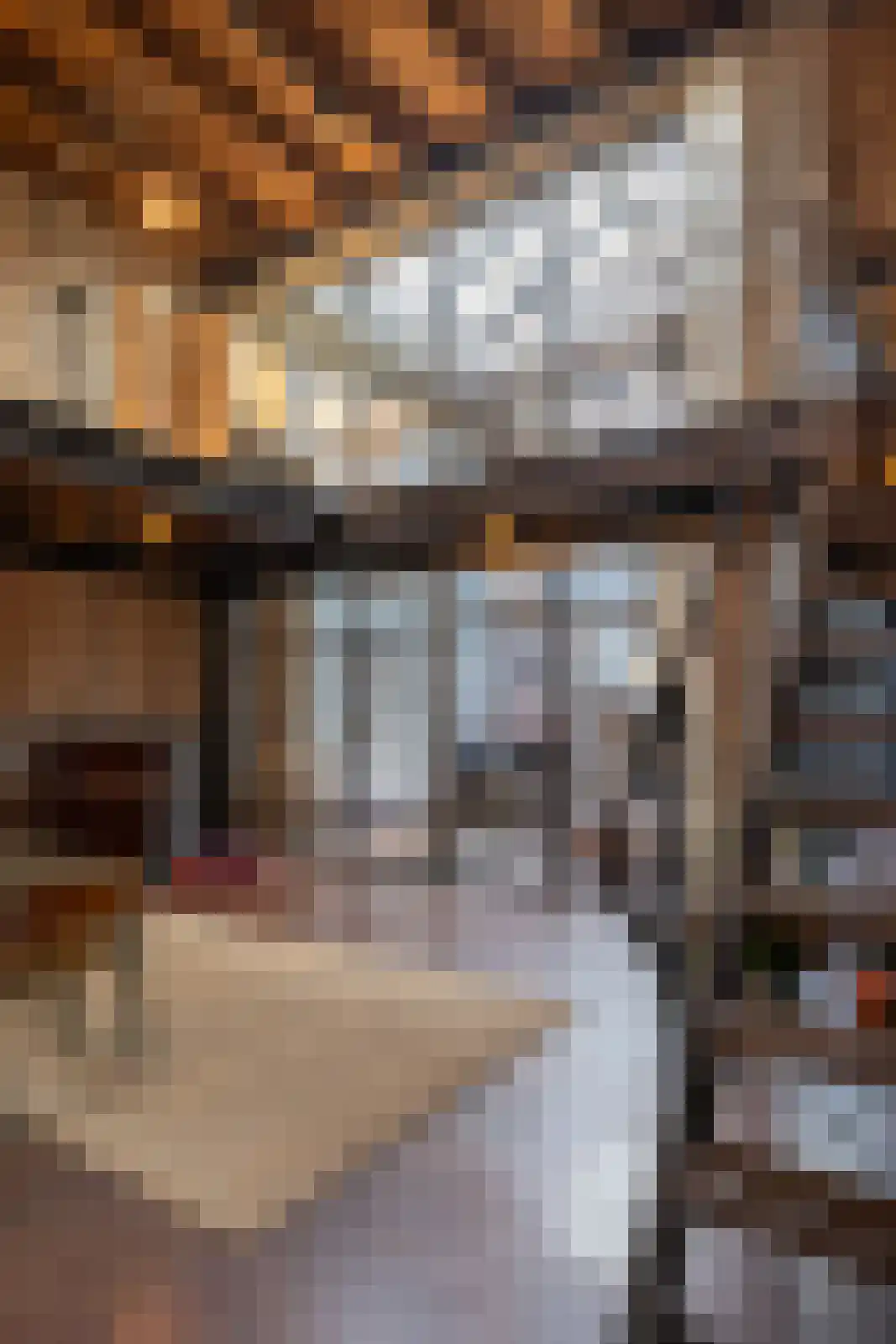 Brandestraat 20 Geertruidenberg thumbnail 62