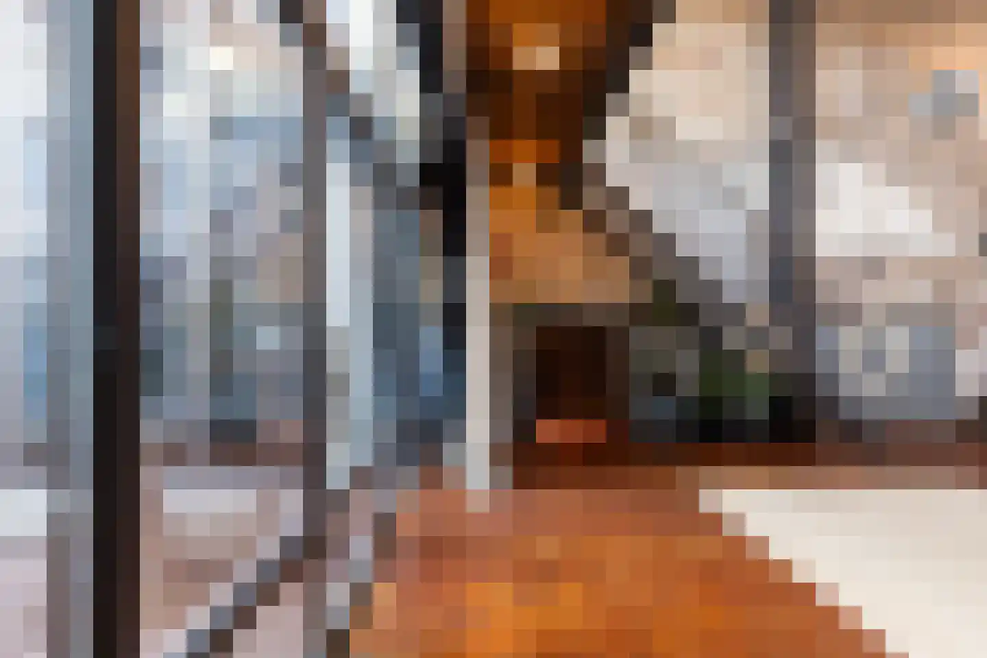 Brandestraat 20 Geertruidenberg thumbnail 63