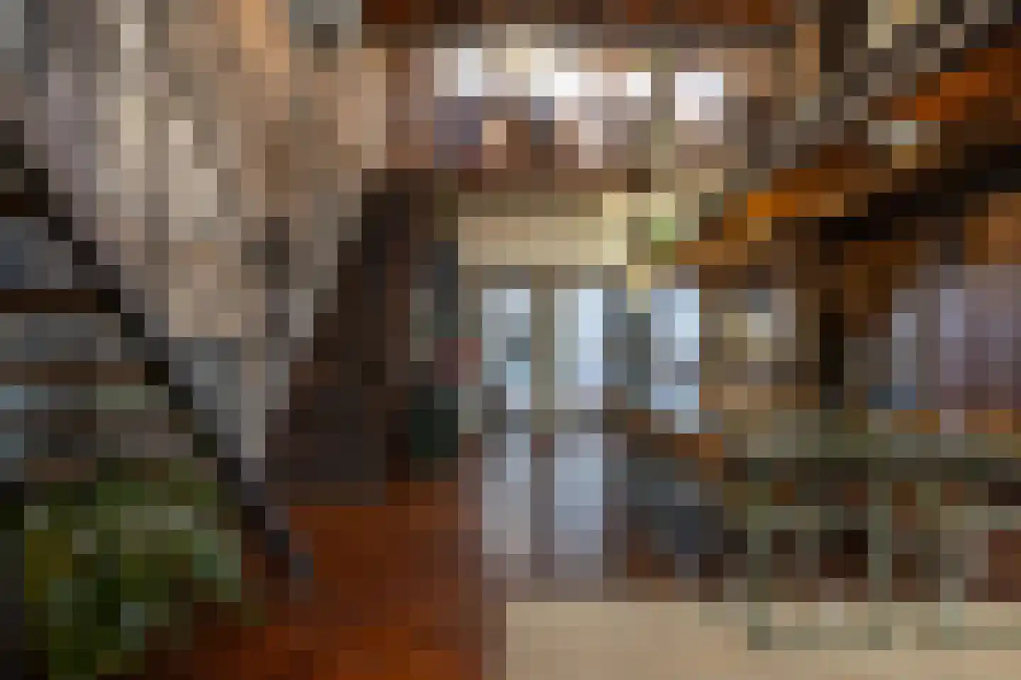 Brandestraat 20 Geertruidenberg thumbnail 64