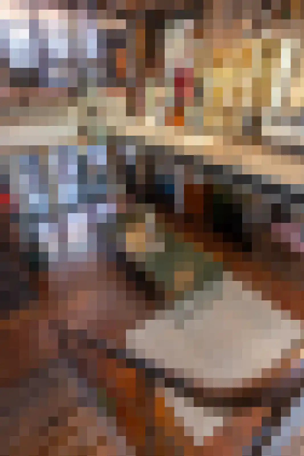 Brandestraat 20 Geertruidenberg thumbnail 65