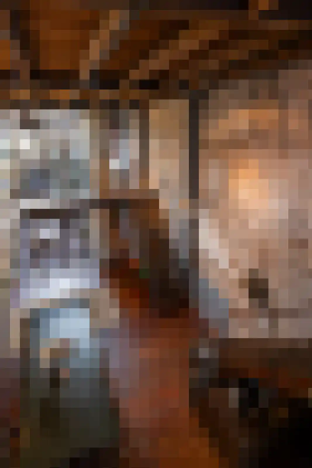 Brandestraat 20 Geertruidenberg thumbnail 66