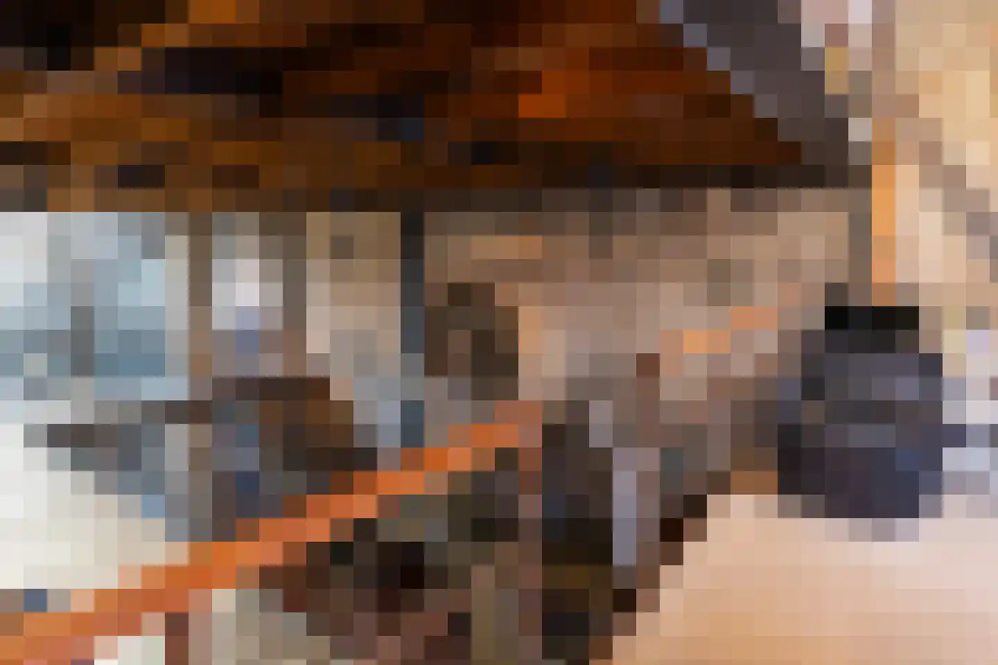 Brandestraat 20 Geertruidenberg thumbnail 67