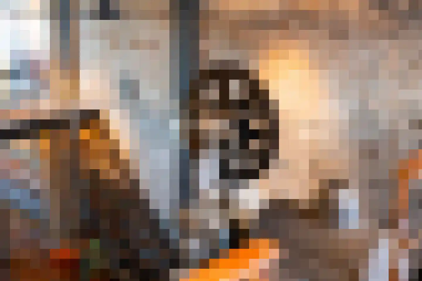 Brandestraat 20 Geertruidenberg thumbnail 68