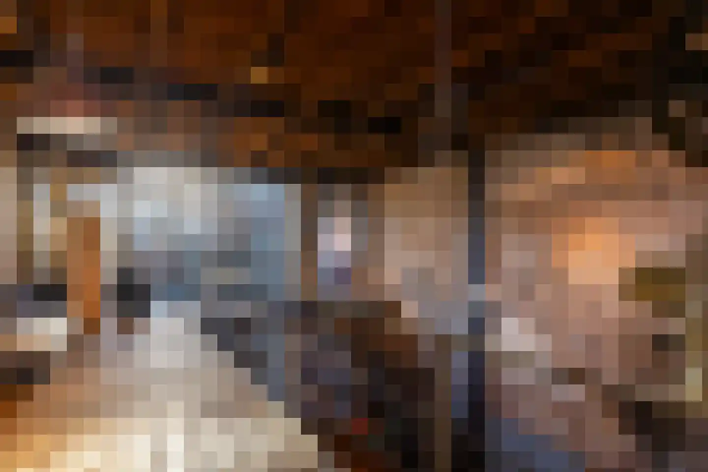 Brandestraat 20 Geertruidenberg thumbnail 69