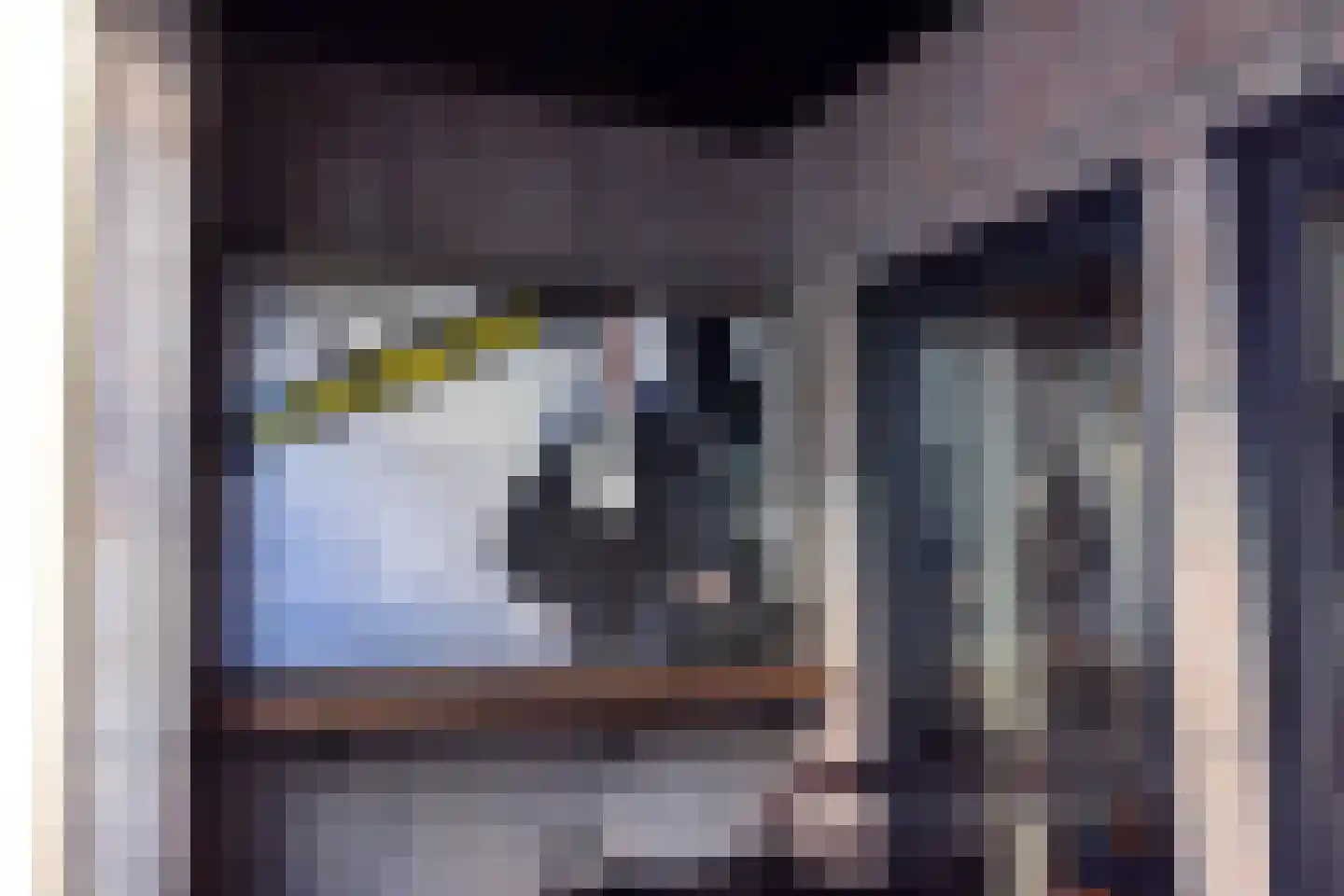 Brandestraat 20 Geertruidenberg thumbnail 7