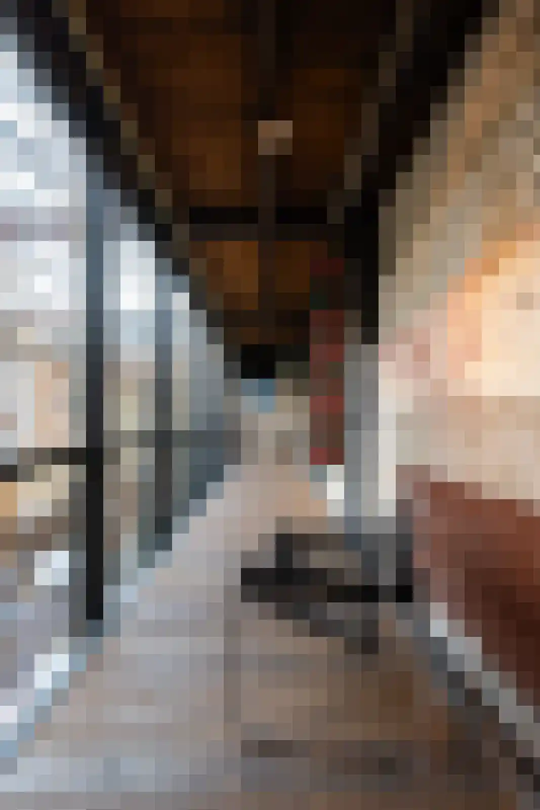 Brandestraat 20 Geertruidenberg thumbnail 74