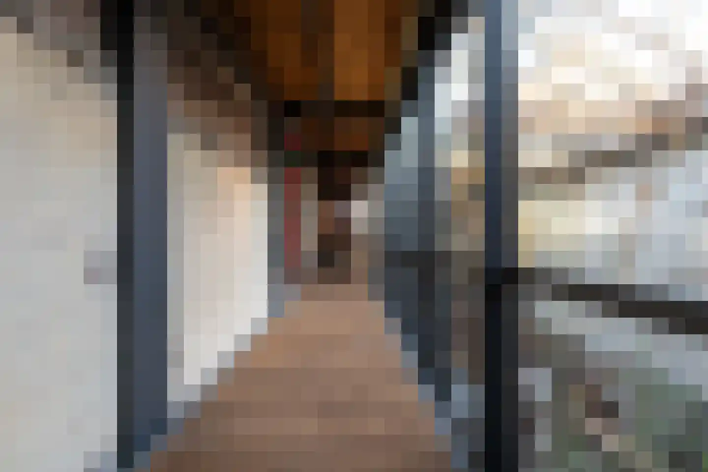 Brandestraat 20 Geertruidenberg thumbnail 75