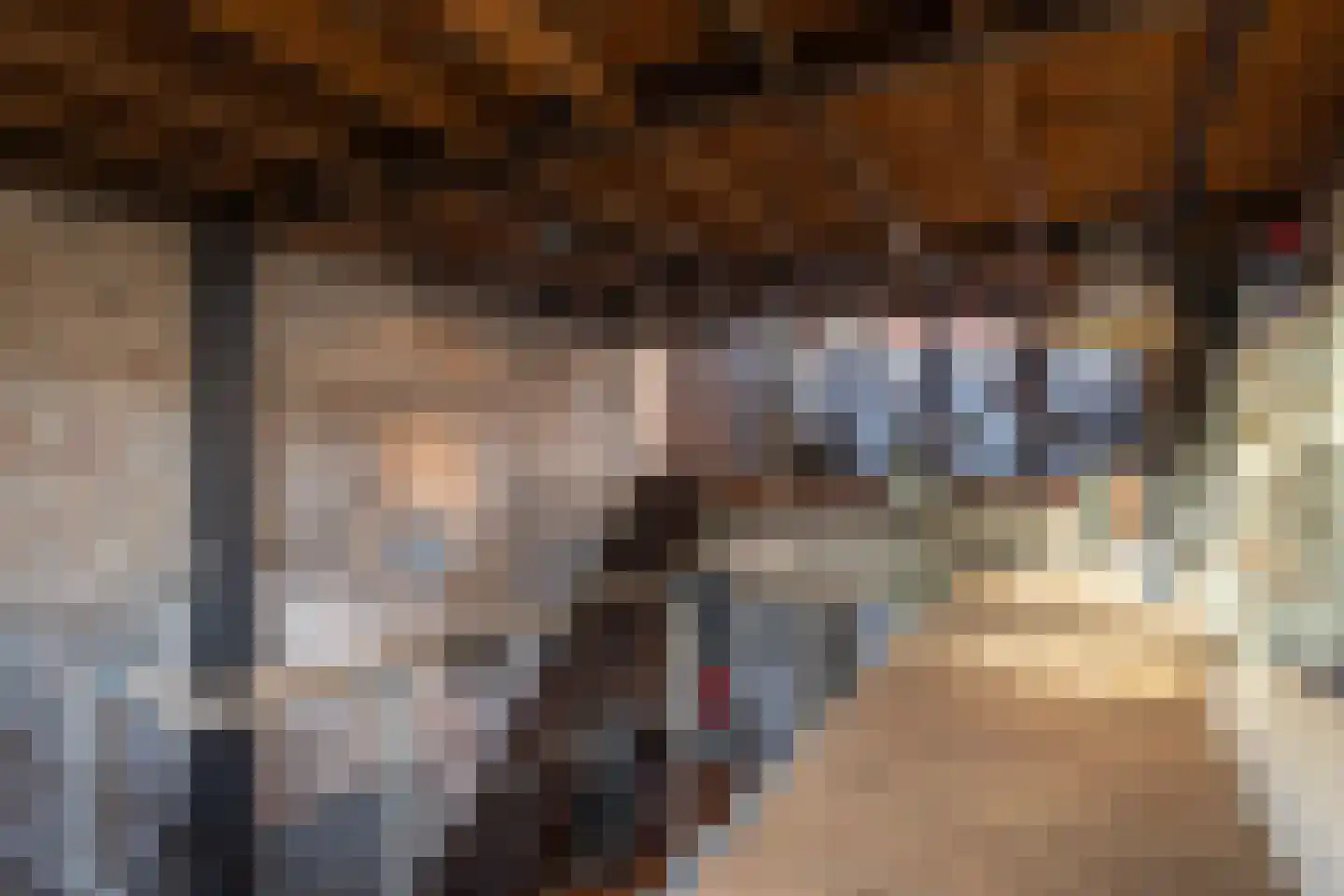 Brandestraat 20 Geertruidenberg thumbnail 77