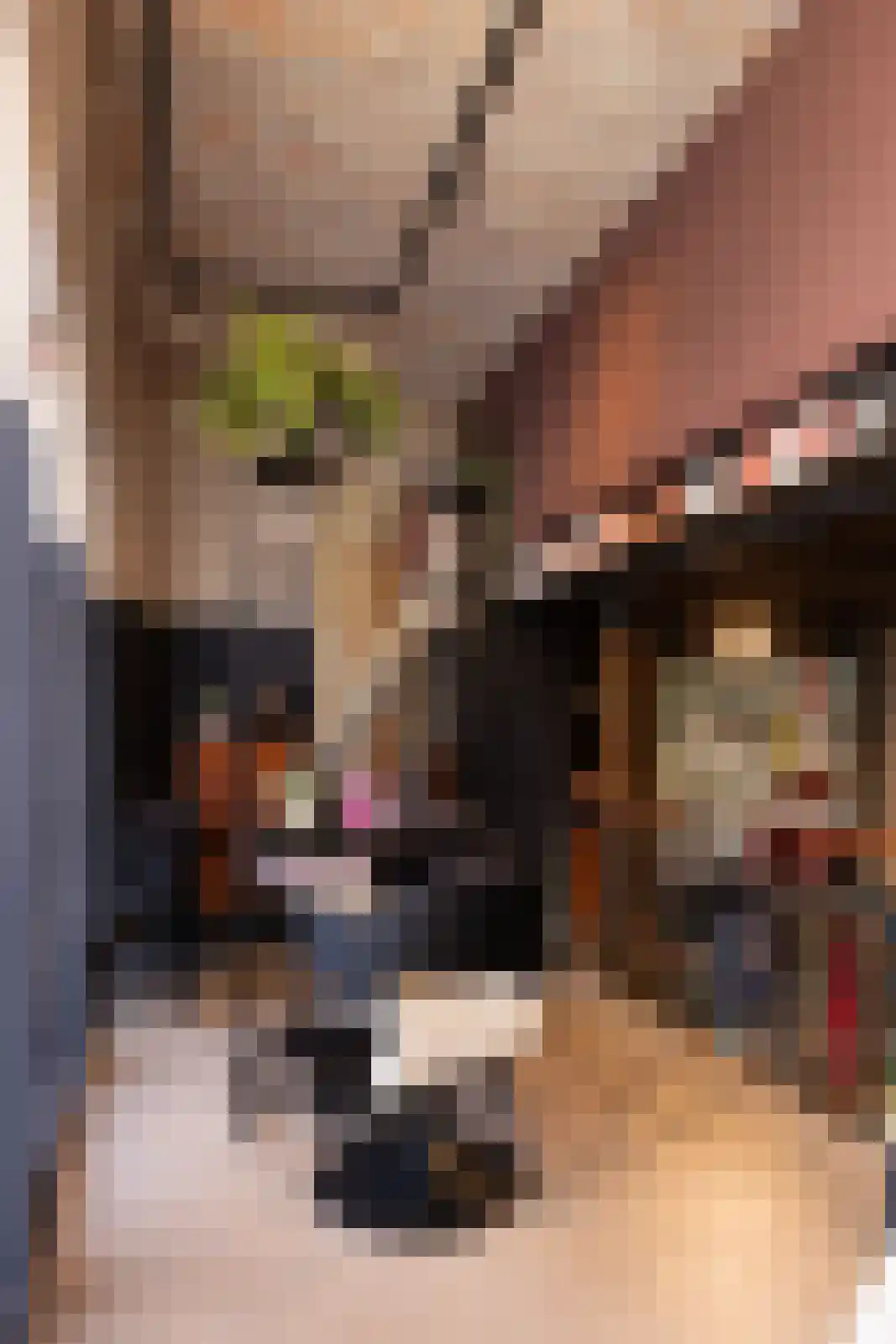 Brandestraat 20 Geertruidenberg thumbnail 79