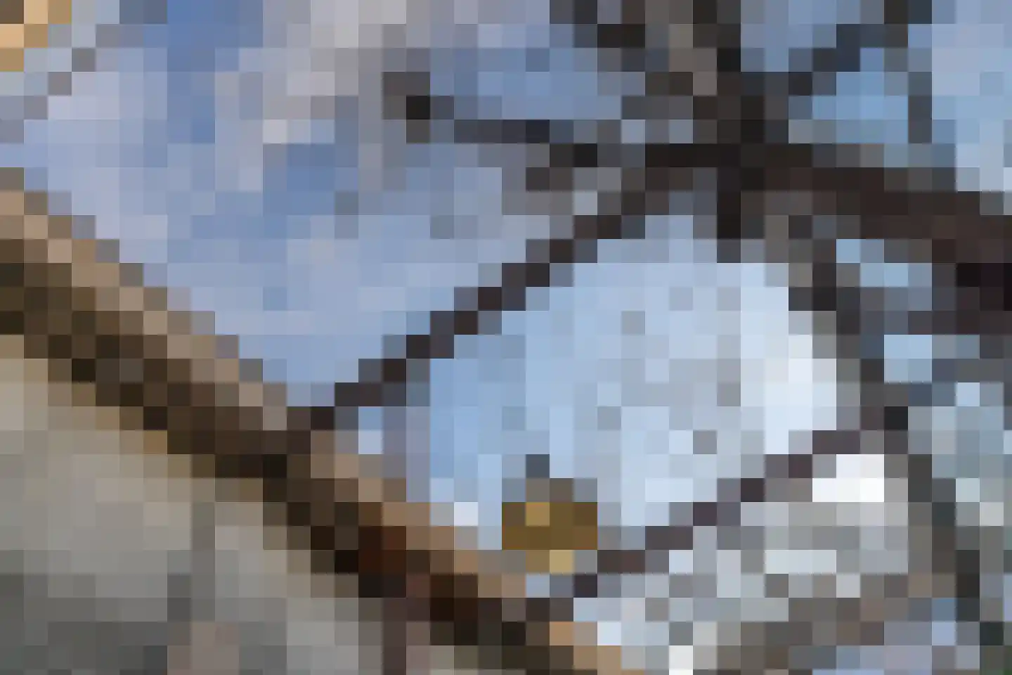 Brandestraat 20 Geertruidenberg thumbnail 86